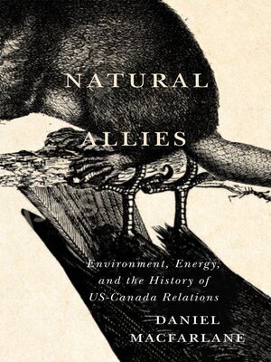 cover image of Natural Allies